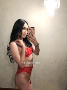 Транс Павлодара Анкета №371768 Фотография №2968633